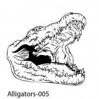 alligator-05