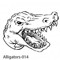 alligator-14