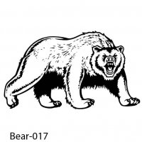 bear-17