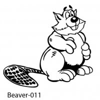 beaver-11