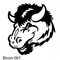 bison-buffalo-01