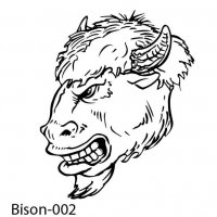 bison-buffalo-02