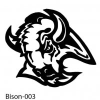 bison-buffalo-03