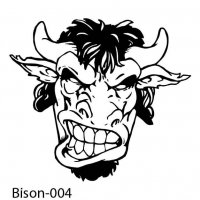 bison-buffalo-04