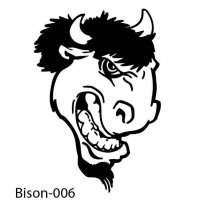 bison-buffalo-06