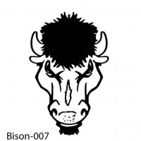 bison-buffalo-07