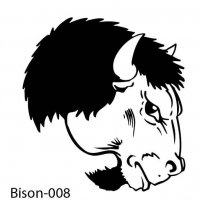 bison-buffalo-08