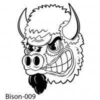 bison-buffalo-09