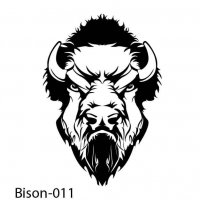 bison-buffalo-11