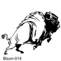 bison-buffalo-14