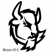 bison-buffalo-15