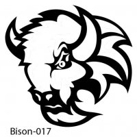 bison-buffalo-17