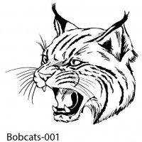 bobcats-wildcats-01