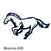 Broncos-Mustangs-30