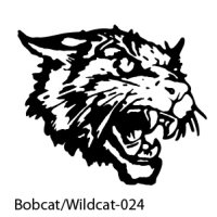 Web Bobcats-Wildcats-24