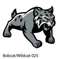 Web Bobcats-Wildcats-25