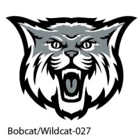 Web Bobcats-Wildcats-27