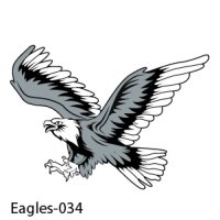 Web Eagle-34