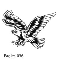 Web Eagle-36
