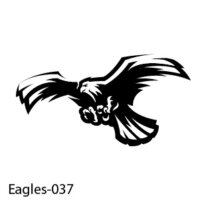 Web Eagle-37