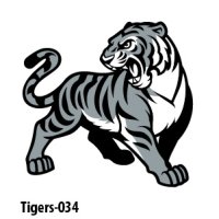 Web Tiger_Tigers-034-