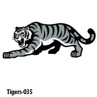 Web Tiger_Tigers-035-