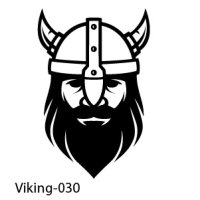 Web Viking_Viking-030-