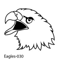 Web Eagle